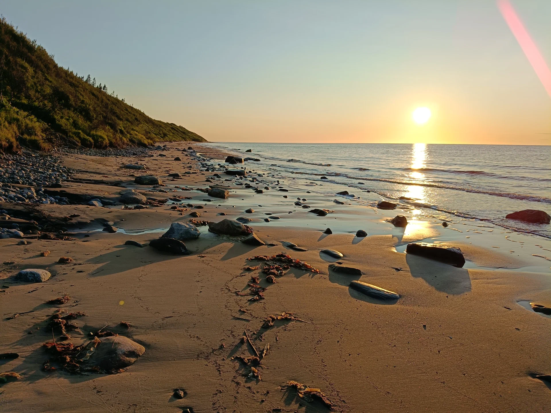 Menemukan Cahaya Kecil di Tengah Kesibukan